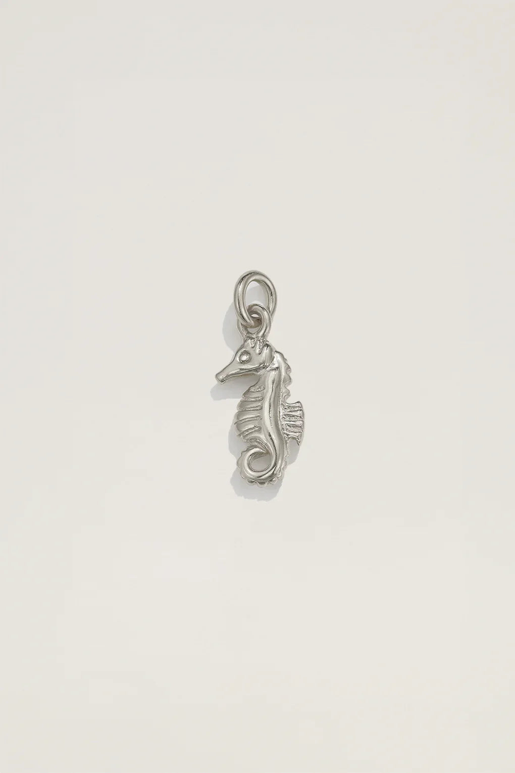 Seahorse Charm
