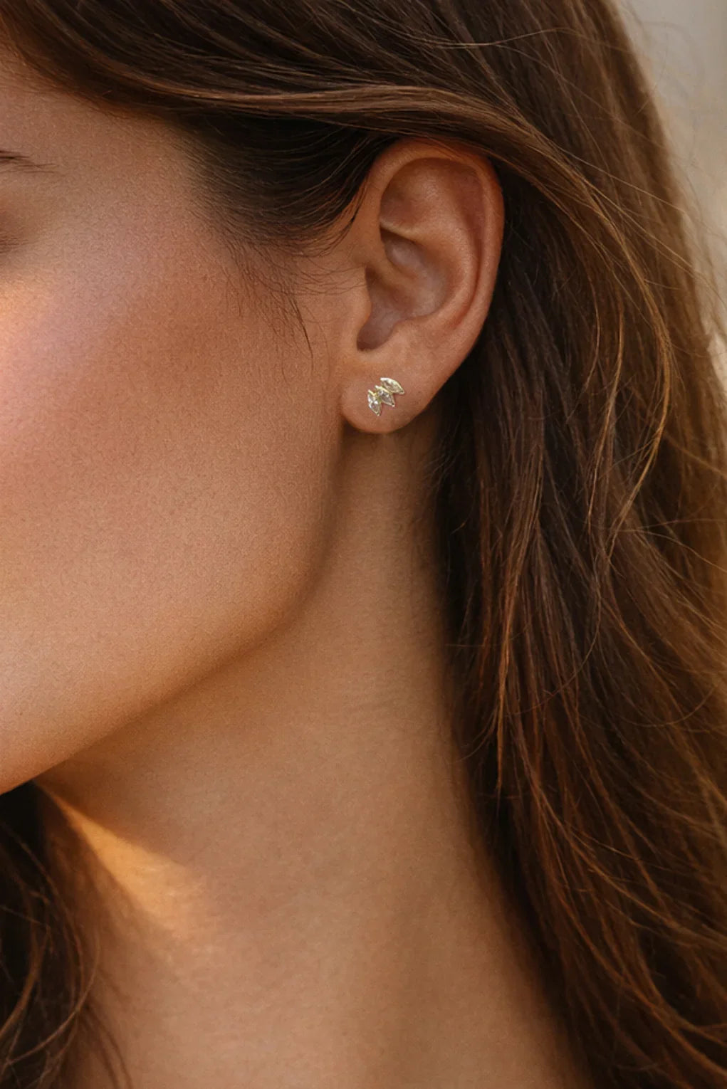 Lana earrings in 14K gold
