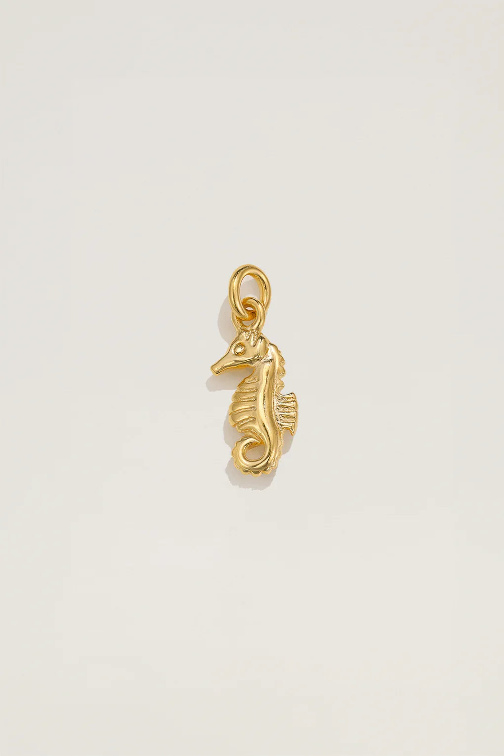 Seahorse Charm