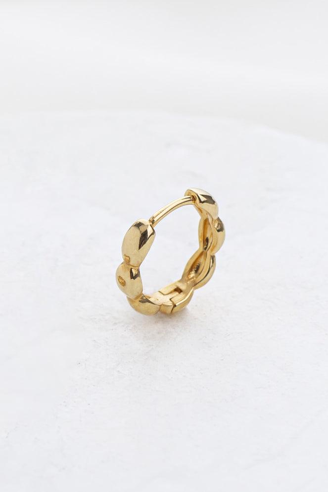 Goldy Earring