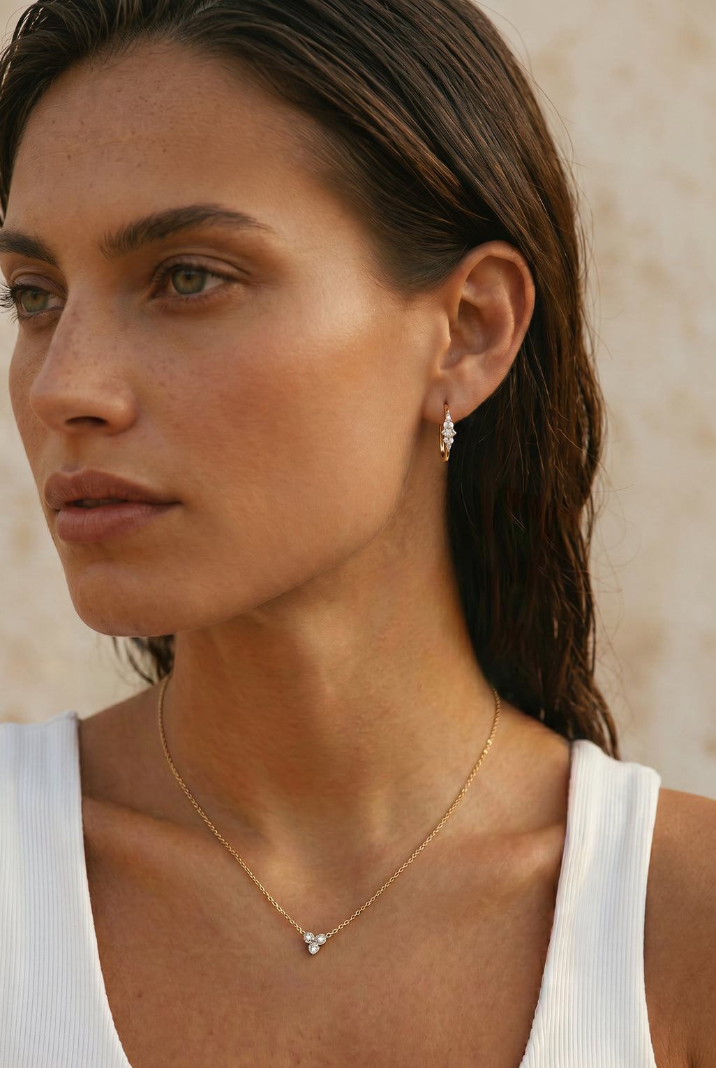 Serena hoop earrings in 14K gold