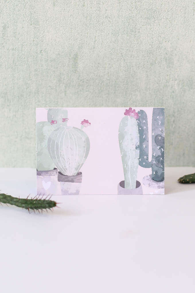 Four Cactuses Note Card