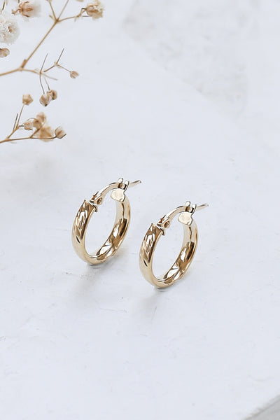 Cassie Earrings in 14K gold