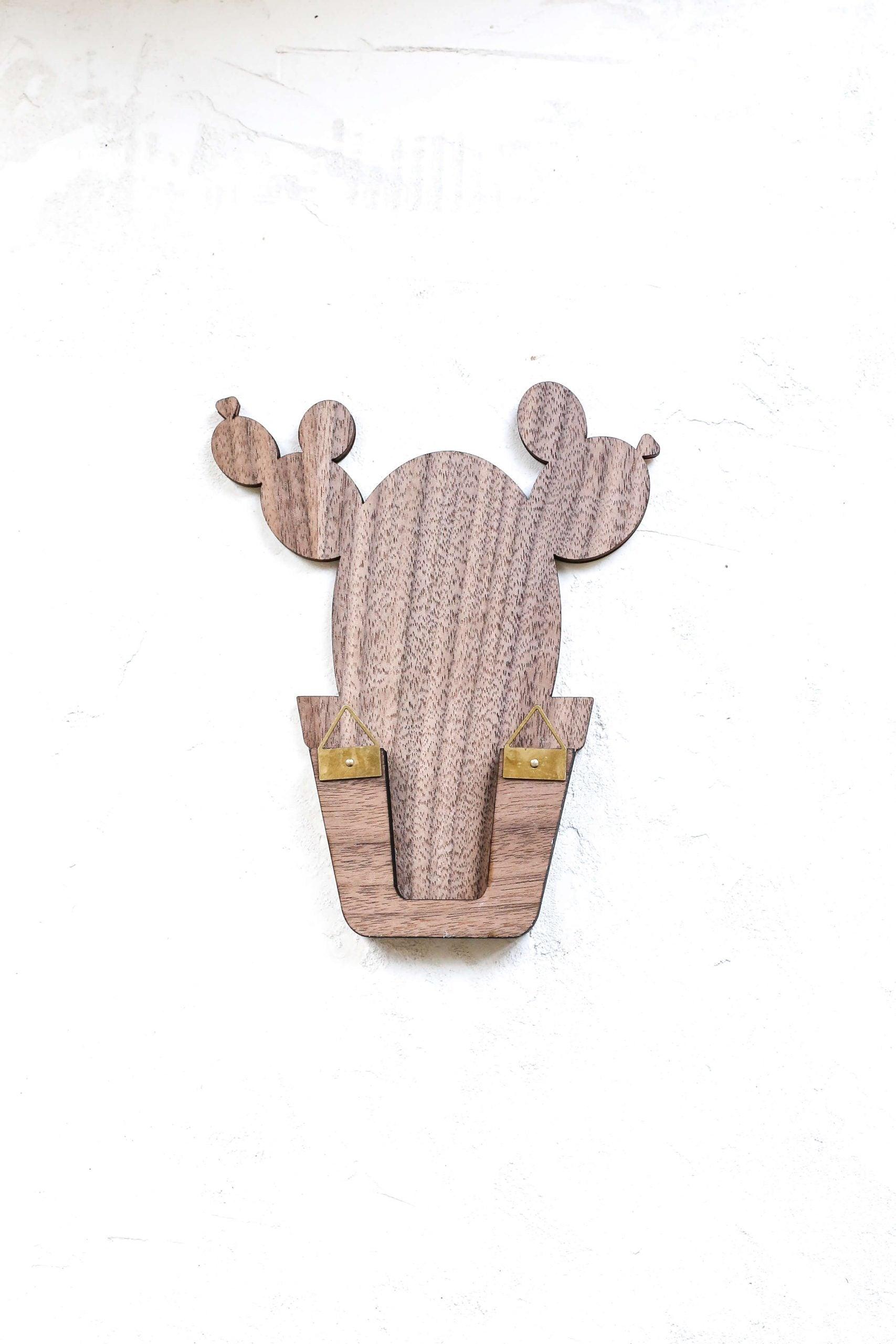 Hanging Cactus Jewelry Organizer